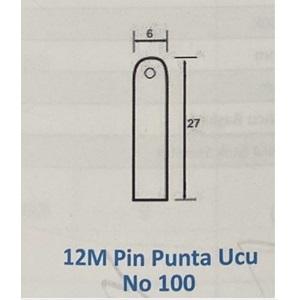 12M - Pin Punta Ucu No:100