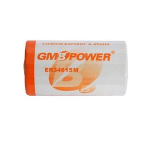 GMB 3.6V ER34615M D Size Lithium Pil